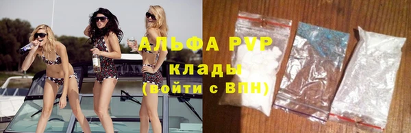 индика Бугульма