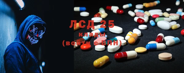 индика Бугульма