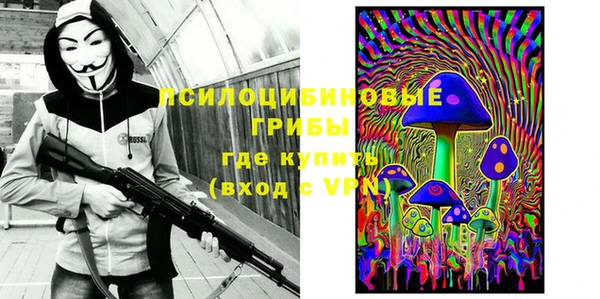 индика Бугульма