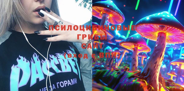 соль ск Бронницы