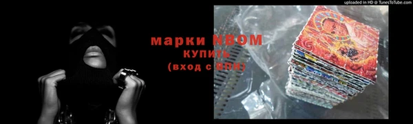 индика Бугульма