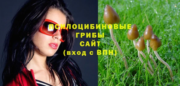 соль ск Бронницы