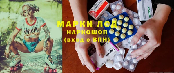 индика Бугульма