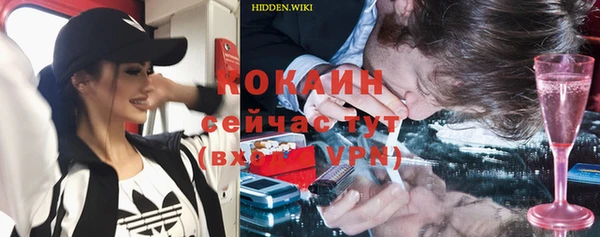индика Бугульма