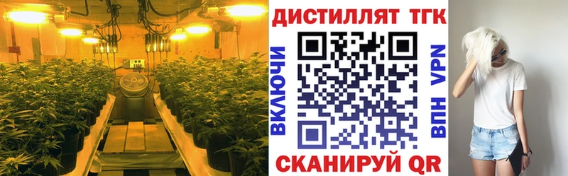Дистиллят ТГК вейп с тгк  OMG ссылки  Тихорецк 